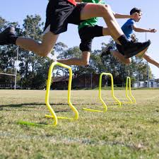 Hurdles 30cm