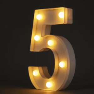Number 5 Light